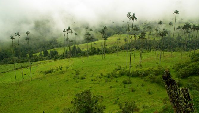 Colombie paysage