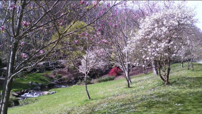 Brest conservatoire botanique