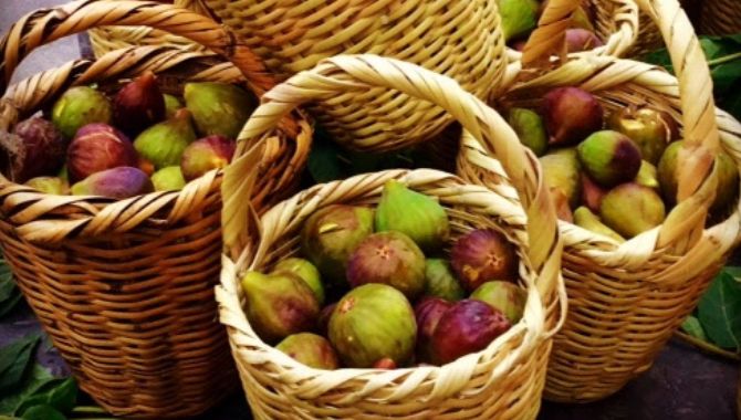 Fes Amani figues