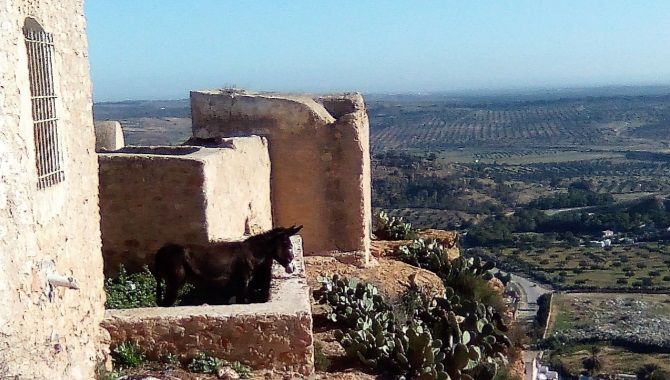 takrouna-panorama