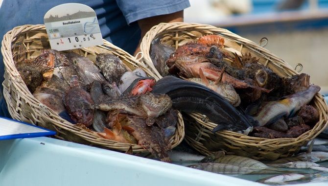 Marseille bouillabaisse