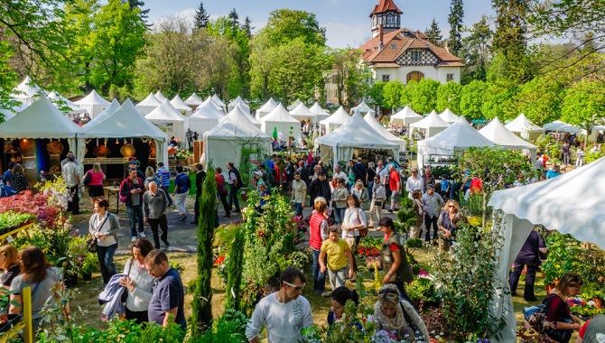 Mulhouse marche aux plantes
