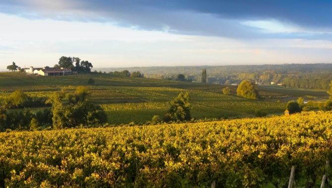 Route des Vins paysage