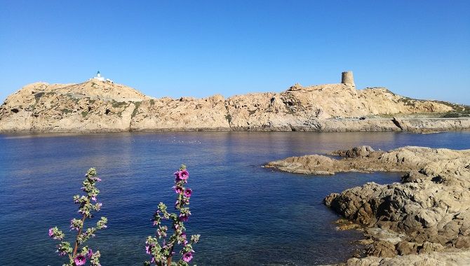 Corse Ile de la Pietra