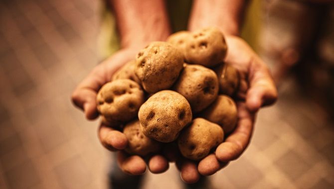 Tenerife gastronomie papas