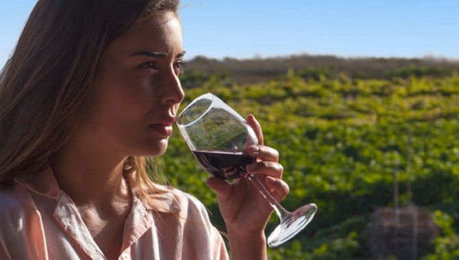 Tenerife gastronomie vins