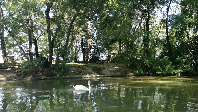 Castelnaudary ile de la Cybele