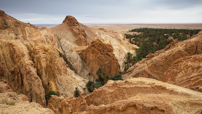 Tozeur paysage